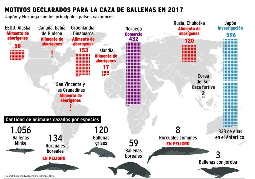caza ballenas