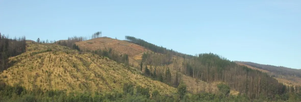 Informe apunta presencia de oro en Nirivilo: gerentes invocan a transnacionales mineras para el saqueo del Maule sur