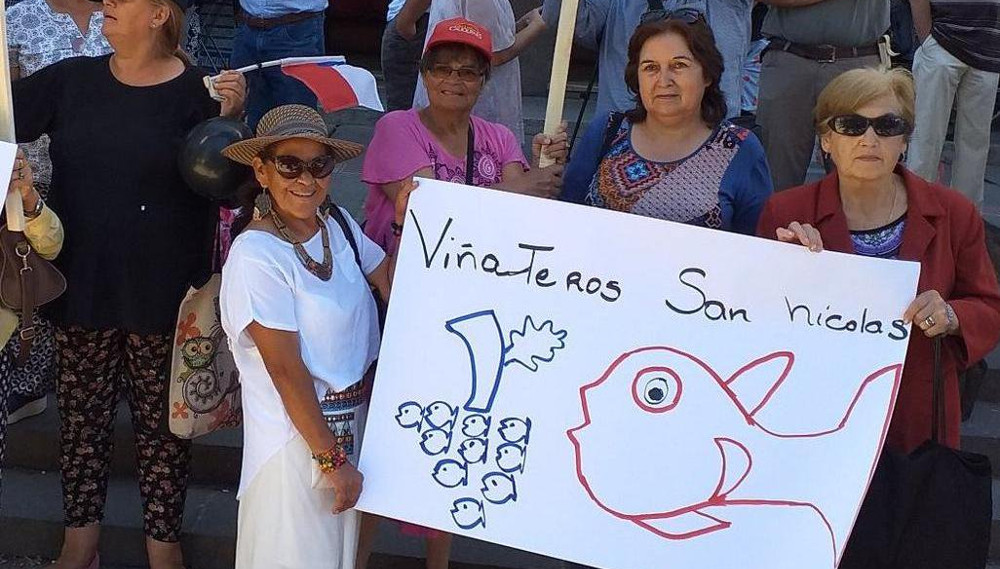 Viñateras de San Nicolás