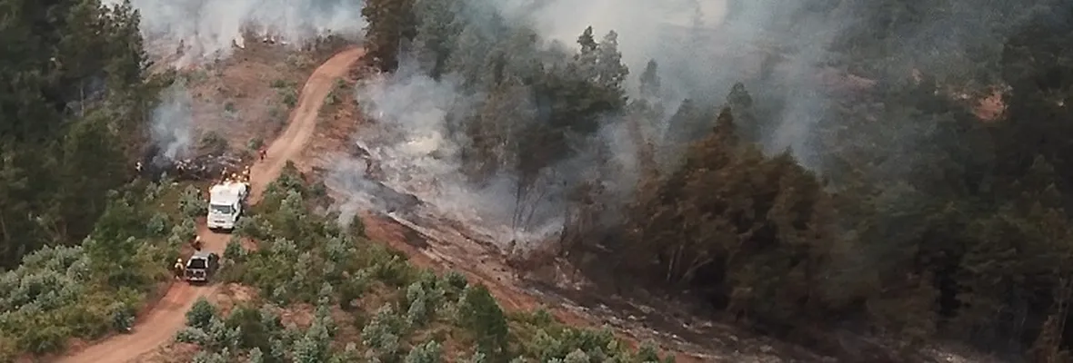 VIDEO: Vecinos/as y Asamblea Territorial Nonguenche ante incendios en Reserva Nonguén
