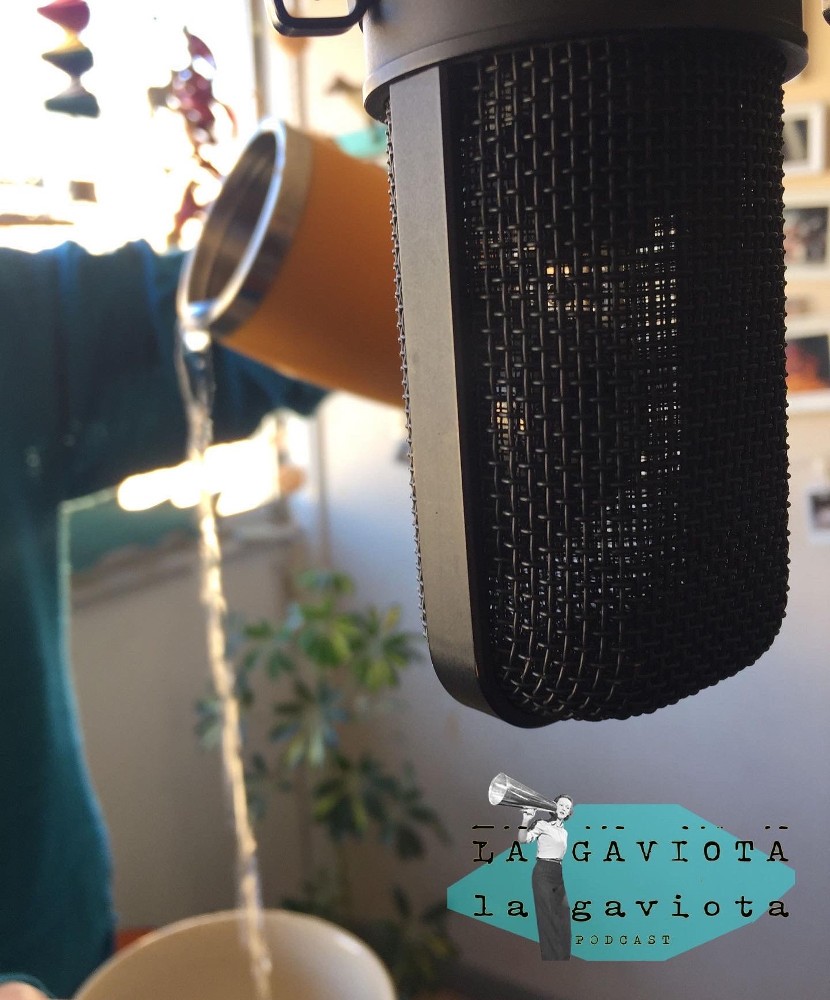 Gaviota Podcast