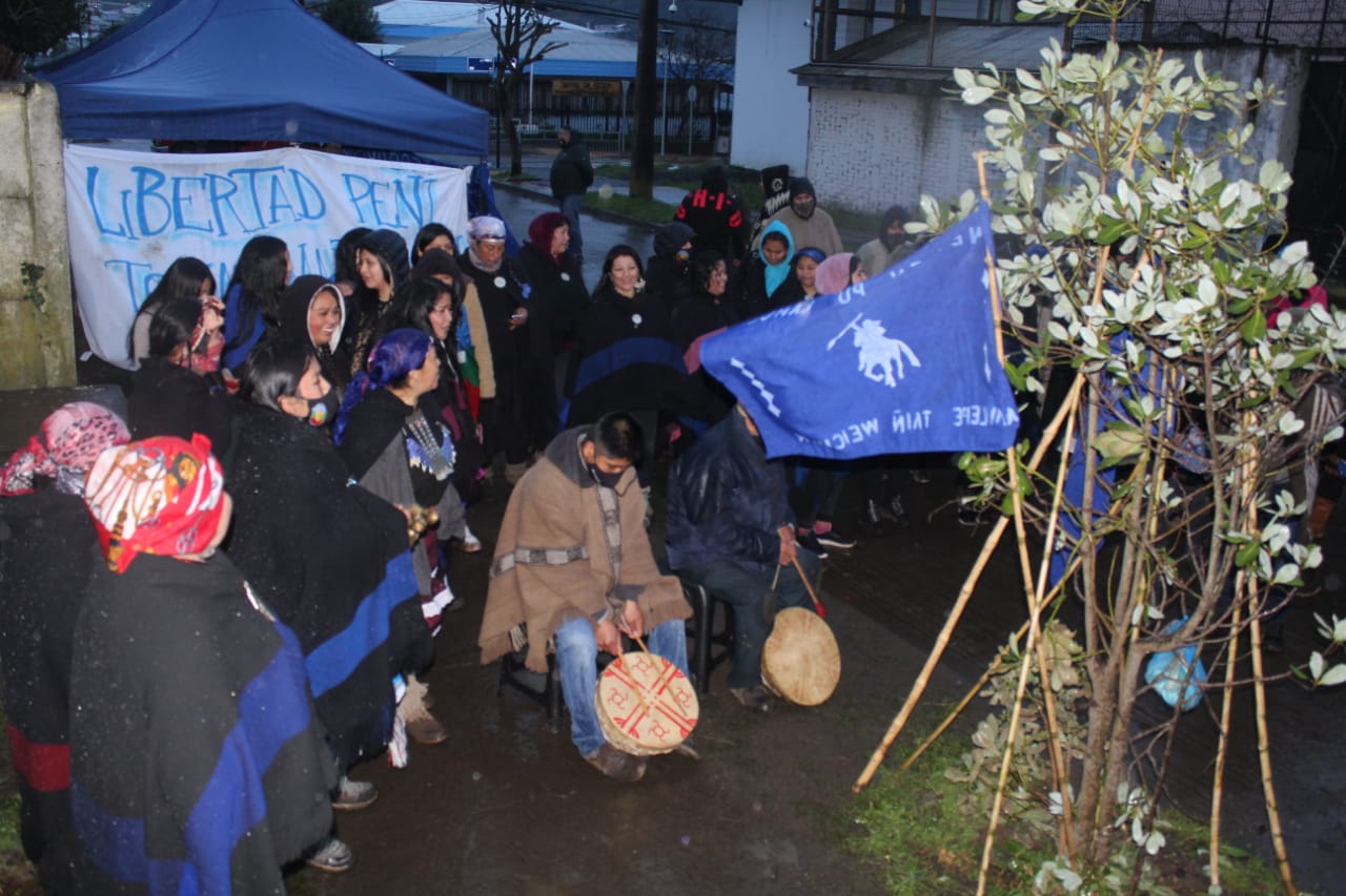 mapuche huelga seca