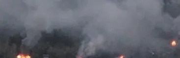 Quema de maquinaria forestal y cabañas en la Provincia de Arauco a 117 días de la huelga de hambre de los presos políticos mapuche