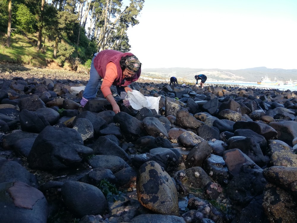 "Mujeres del Mar, Memorias del oficio pesquero-artesanal desde el relato de pescadoras del Área Metropolitana de Concepción"