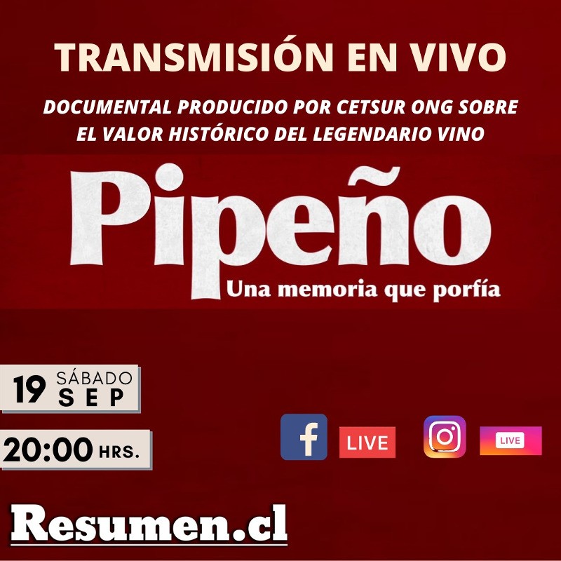Pipeño, una memoria que porfía