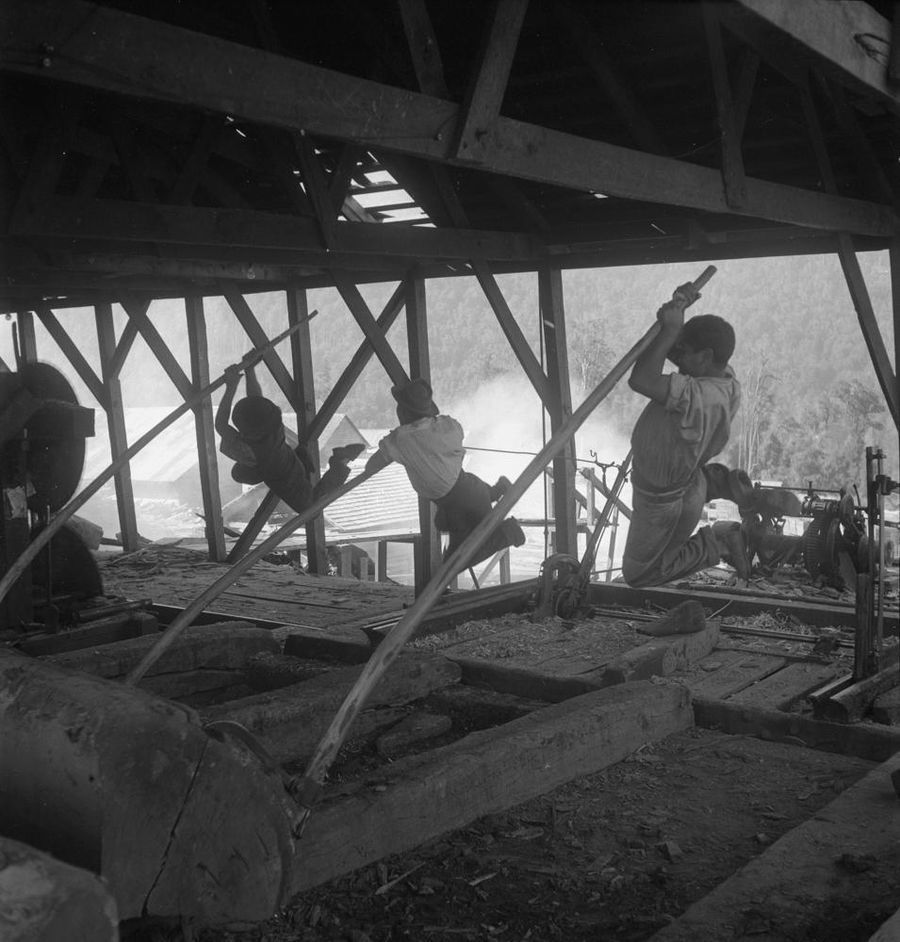 El Rostro de Chile Montandon Paillard, Roberto,Palanqueando la madera en Malleco,ca. 1955