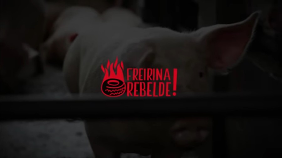 Freirina Rebelde