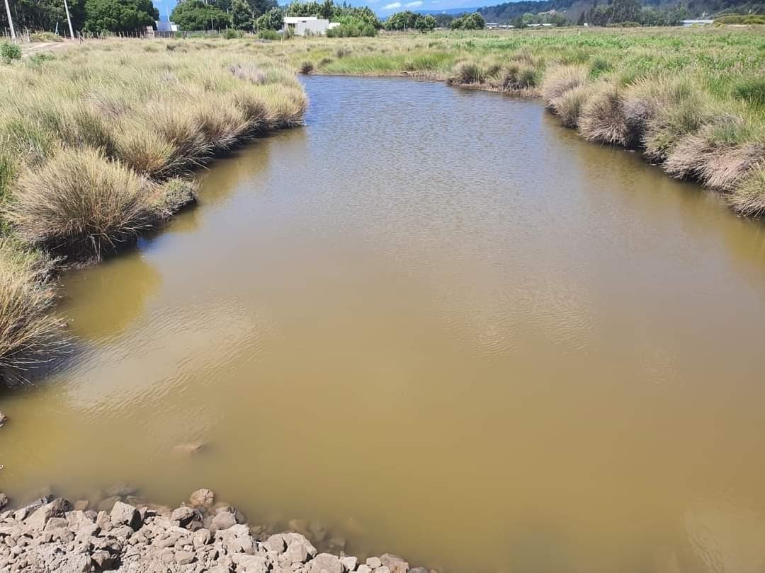 río Carampangue