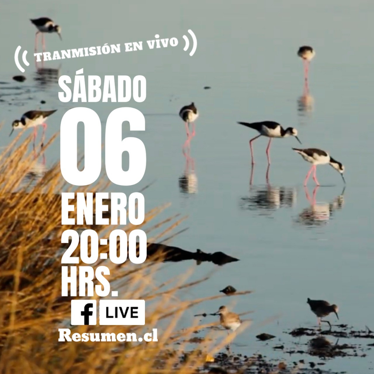 Habitar para defender