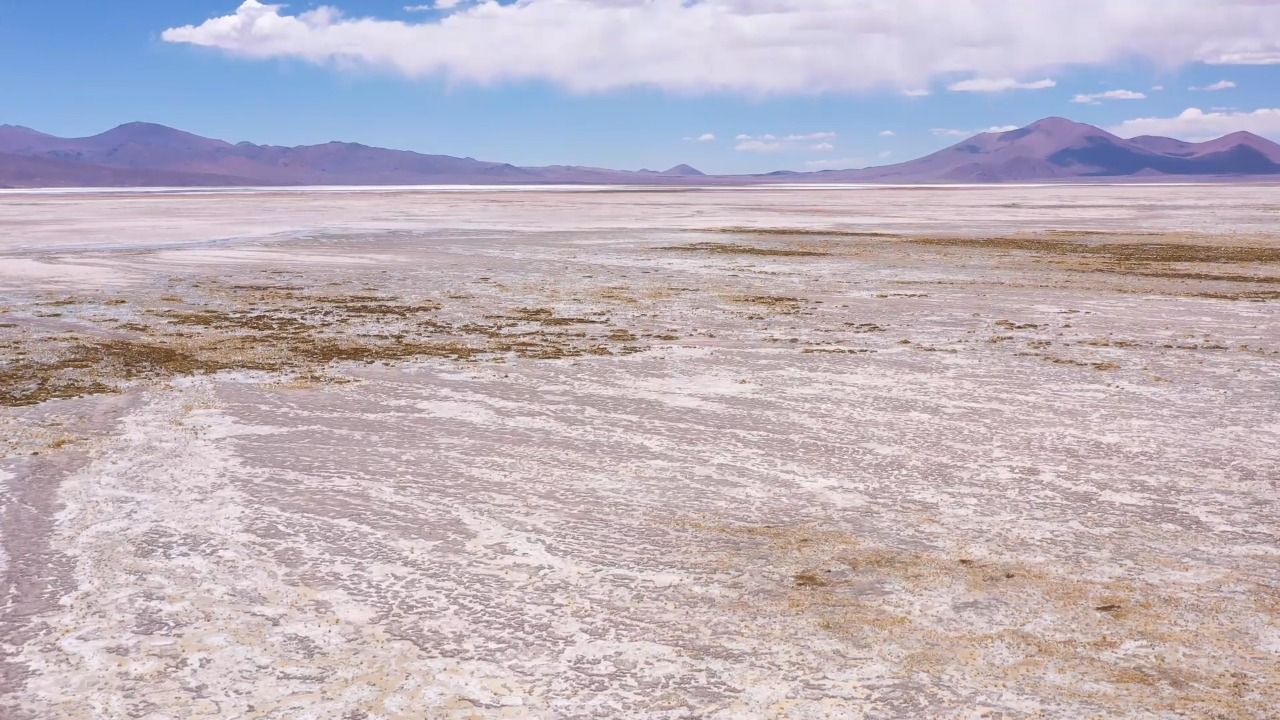 Un Parque Nacional en grave peligro: Explotación de oro y litio amenazan el  Nevado Tres Cruces