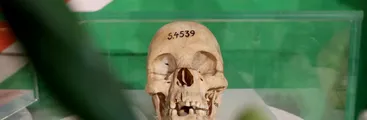 Alemania reconoce el genocidio colonial que perpetró en África