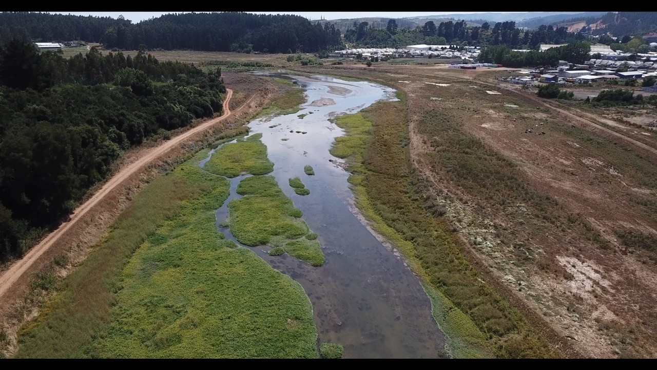 Río Andalién
