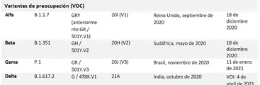 Coronavirus: Las variantes Gamma (43,0%) y Lambda (24,3%) se mantienen como las predominantes en Chile