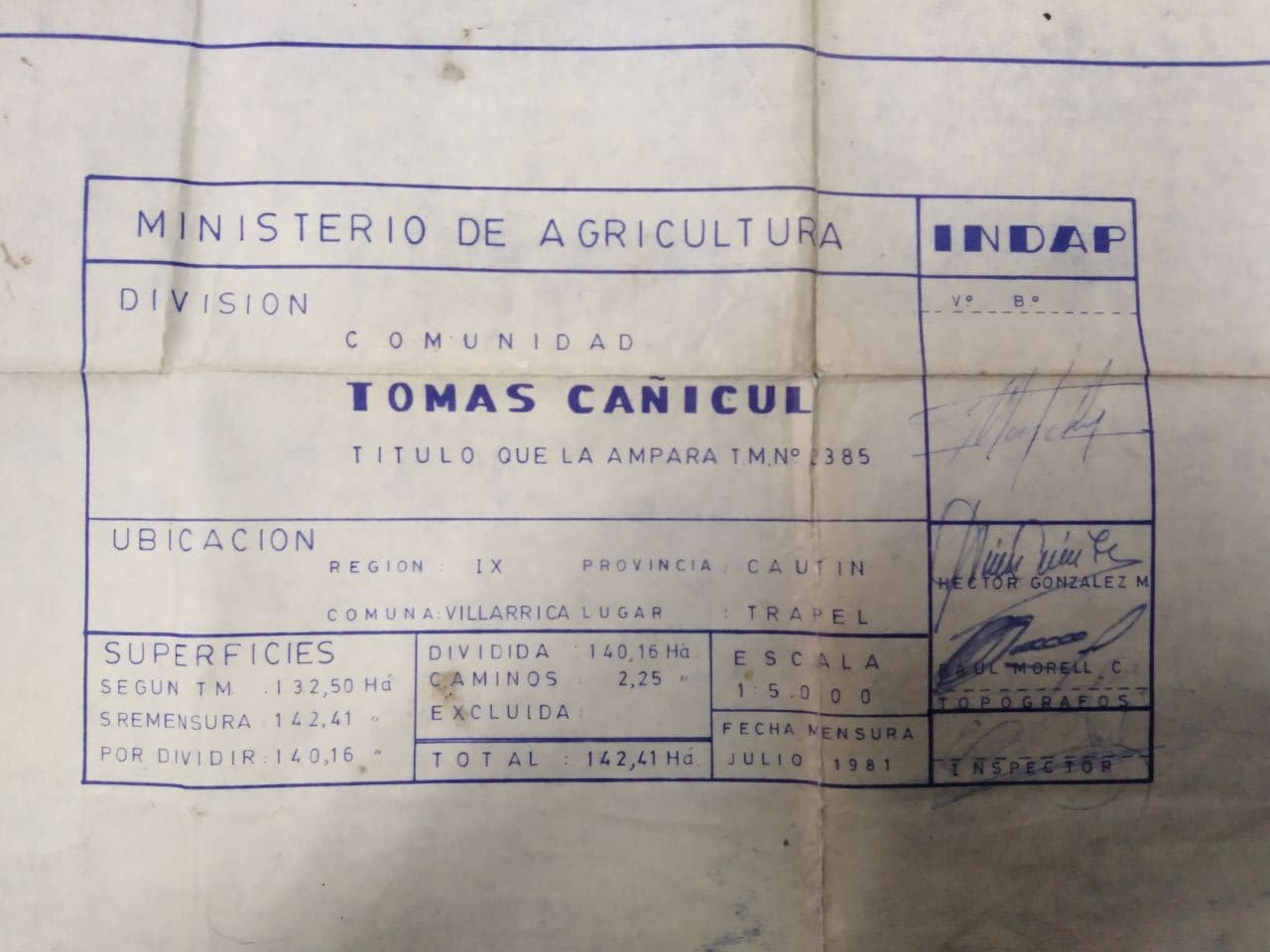 Cañicul