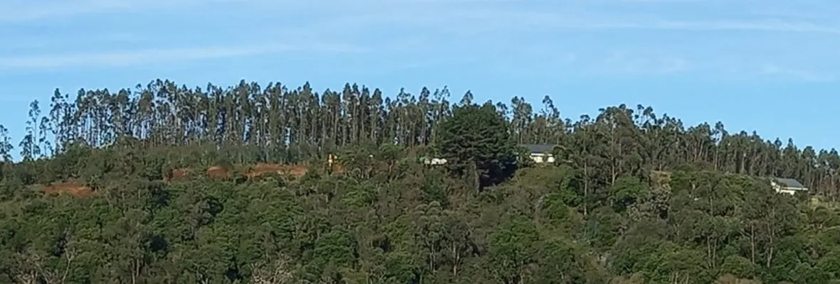 Santuario de la Naturaleza nuevamente en peligro: Pobladora denunció construcción irregular, remoción de tierra y afectación de flora nativa