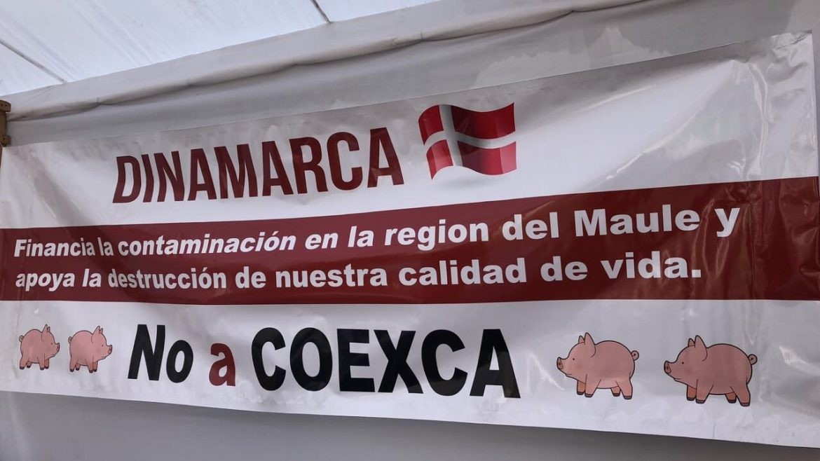 Constitución ganadera