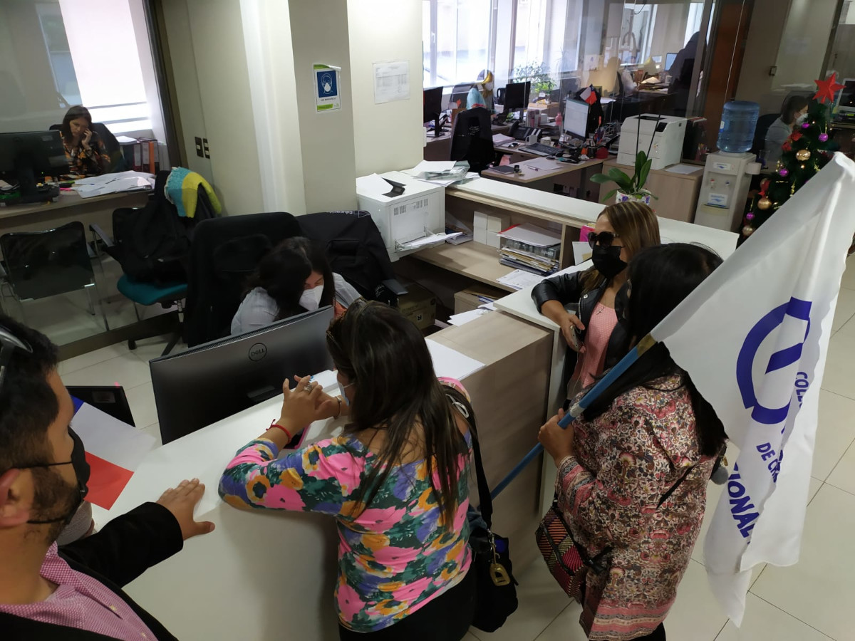 docentes