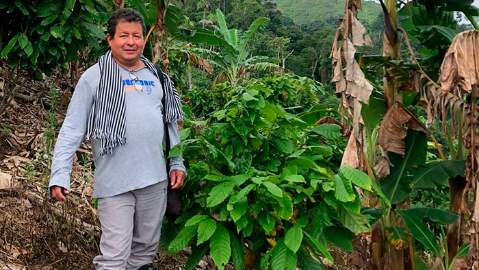campesinos colombia