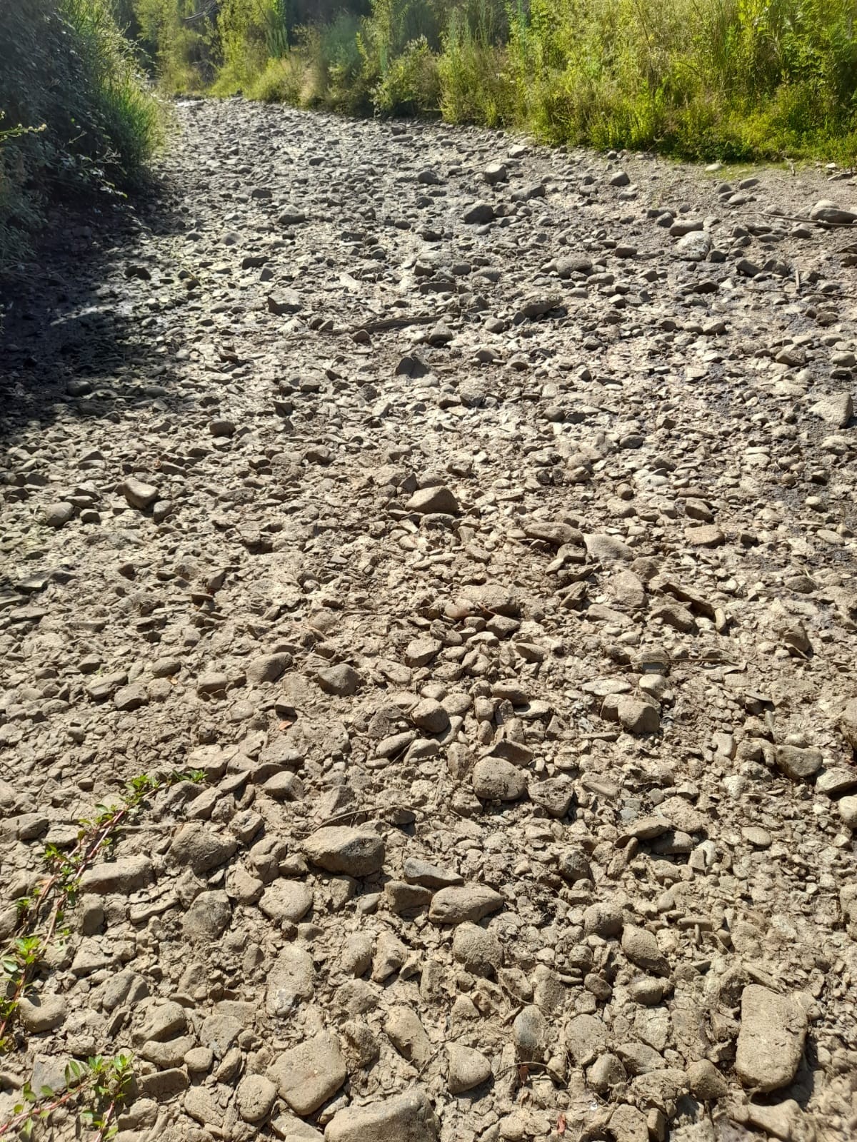 Río El Maggi