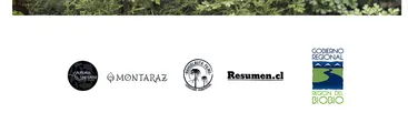 "Wallpen": Lanzarán tráiler de documental sobre el único santuario de la naturaleza en el Gran Concepción