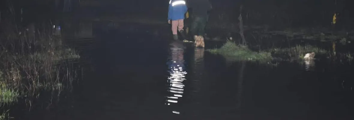 Rellenos, monocultivos y manejo irresponsable de las aguas genera graves problemas de inundación a vecinos y vecinas de Coronel