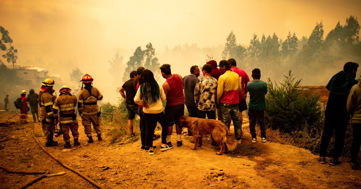 Autoridades que defienden el modelo forestal: ¿Cuántas catástrofes para que se den cuenta? | Resumen.cl
