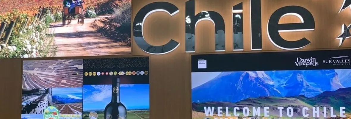 Chile es cuarto exportador mundial de vino, pero a qué costo
