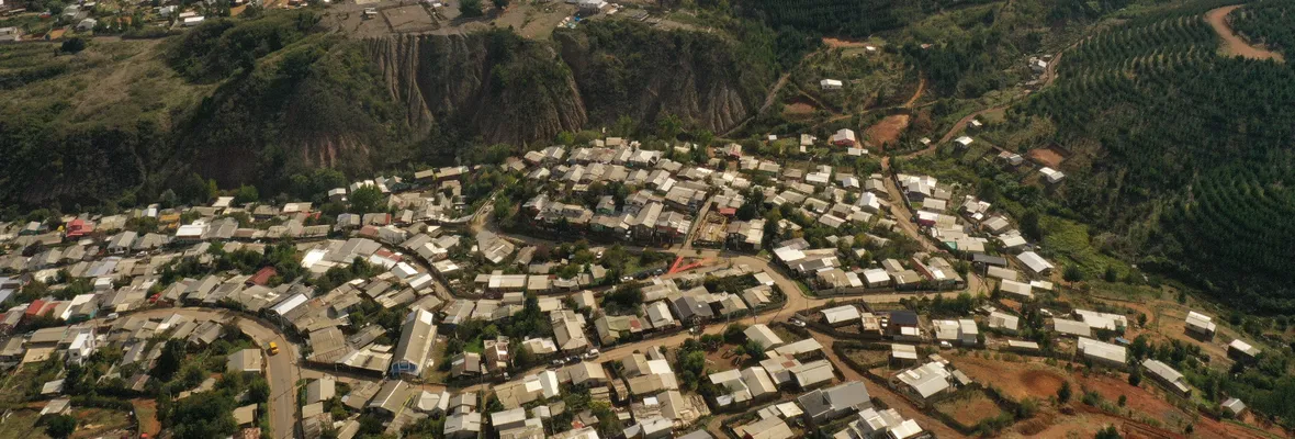 La Batalla de Curanilahue: Vivienda versus Plantaciones Forestales