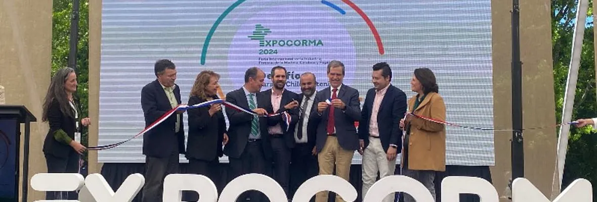 Empresas forestales se benefician con más de $70 mil millones gracias a subvenciones de CORFO y exenciones tributarias por Ley I+D